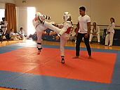 p1370855.jpg