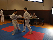 p1380353.jpg