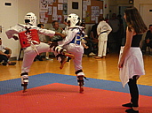 p1380740.jpg