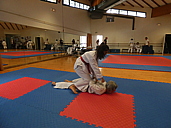 p1390333.jpg