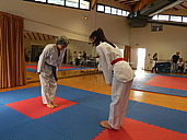 p1390475.jpg