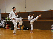 p1390889.jpg