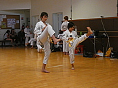 p1400538.jpg