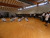 p1400845.jpg