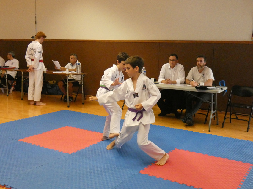 p1320554.jpg
