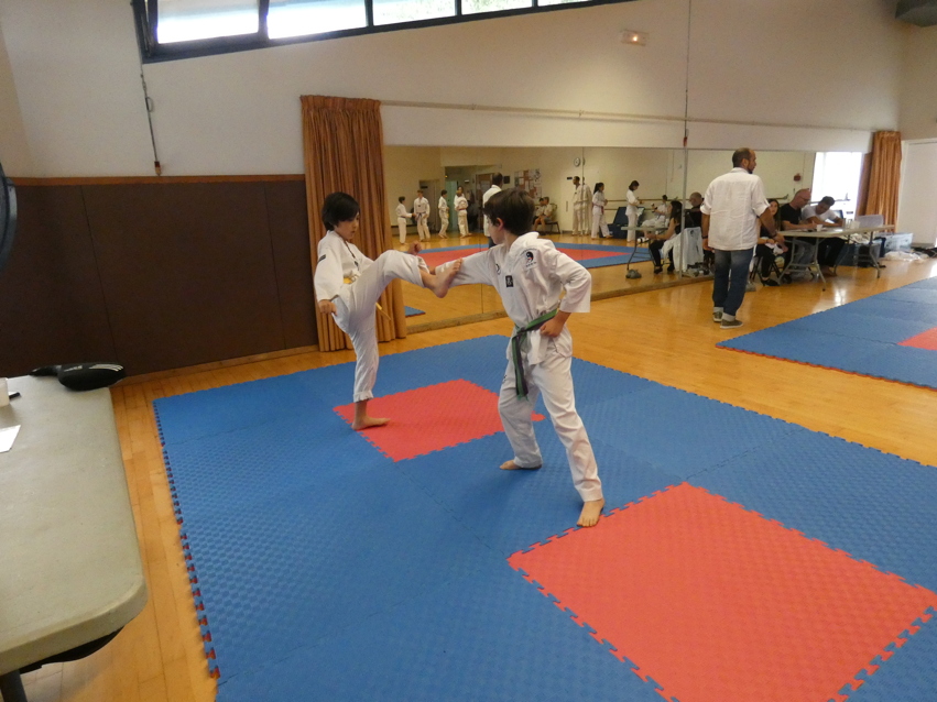 p1330139.jpg