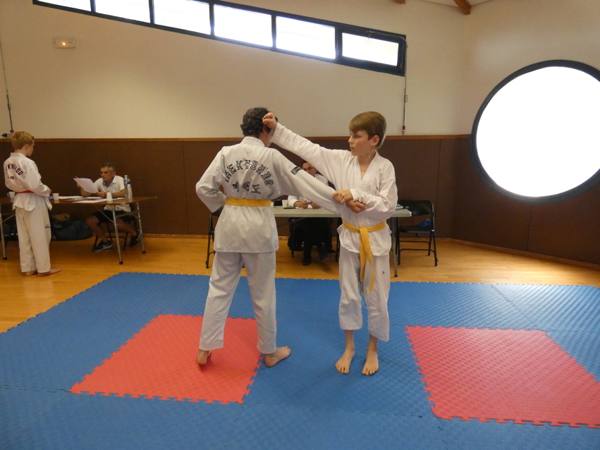 p1350962.jpg