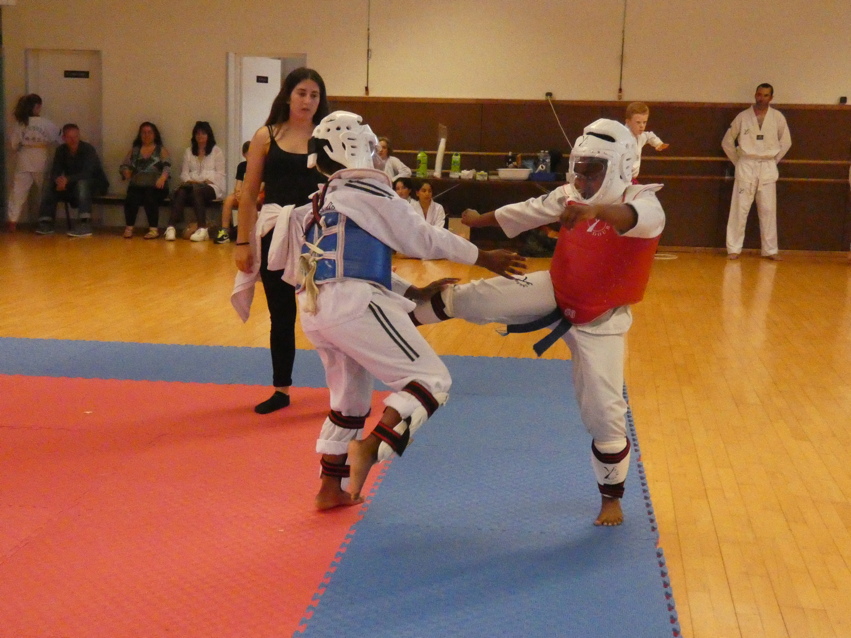p1380691.jpg