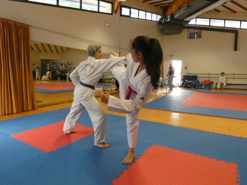 p1390145.jpg