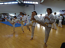 p5800720.jpg