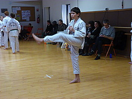 p5810298.jpg