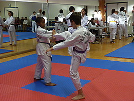 p5820265.jpg