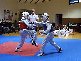 p5850478.jpg