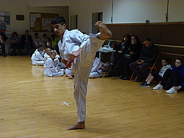 p5860048.jpg