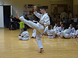 p5860491.jpg