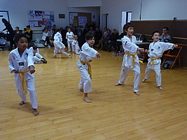p5780554.jpg