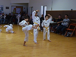 p5780655.jpg