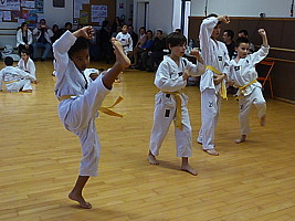 p5780675.jpg