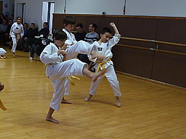 p5780679.jpg