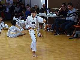 p5790069.jpg