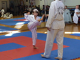 p5790491.jpg
