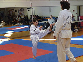 p5790501.jpg