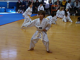 p5800258.jpg