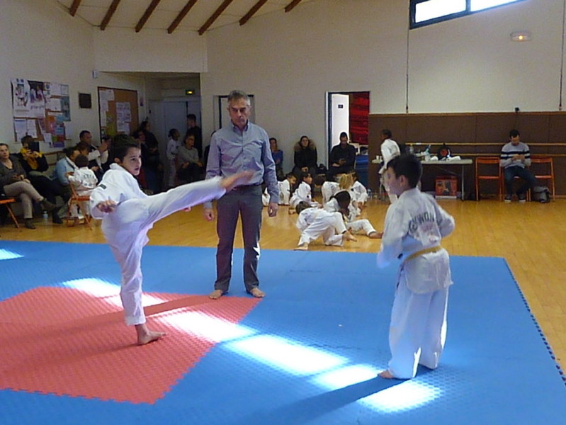 p5780451.jpg