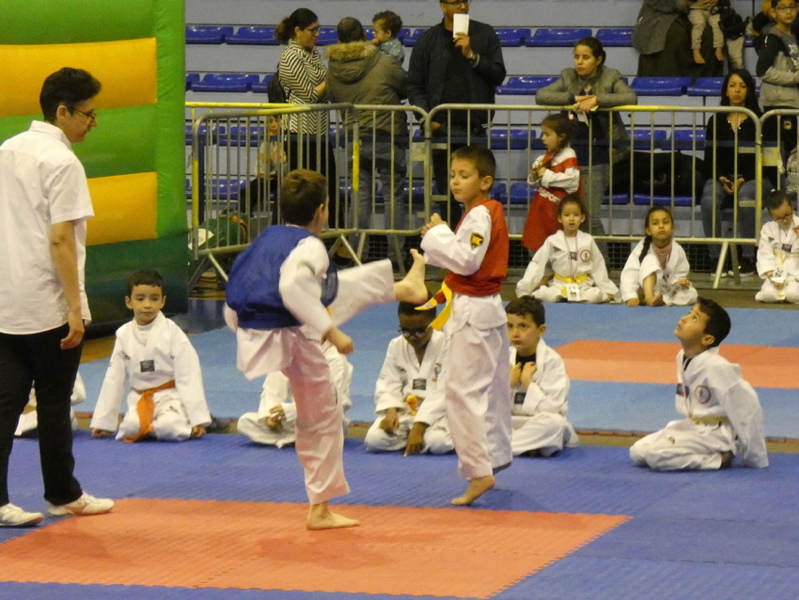 p1100125.jpg