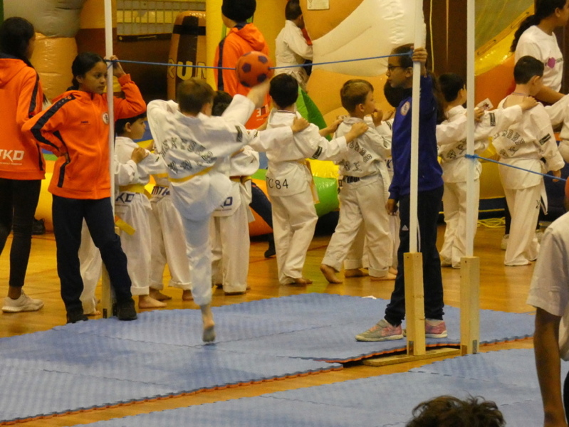 p1100729.jpg