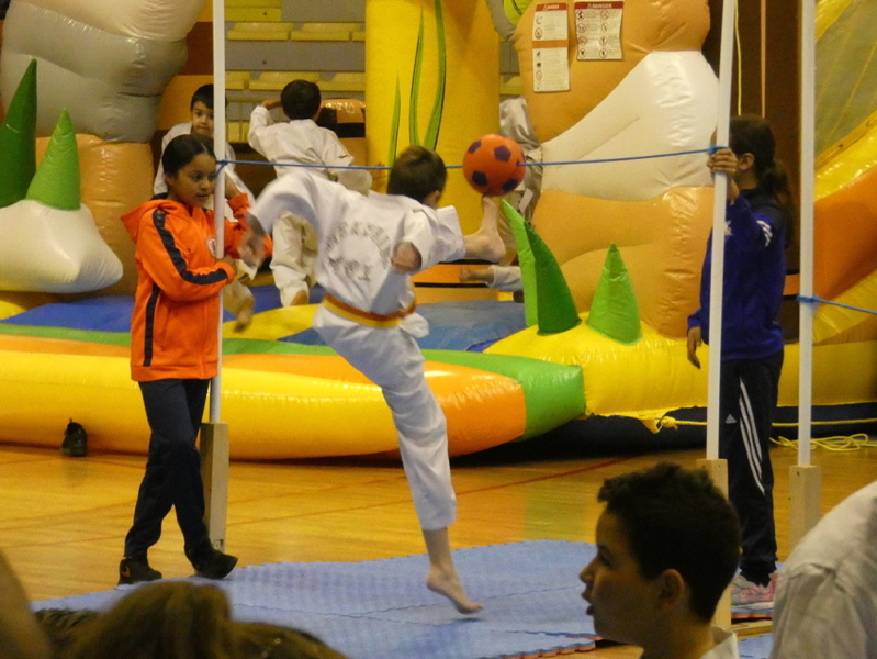 p1100746.jpg