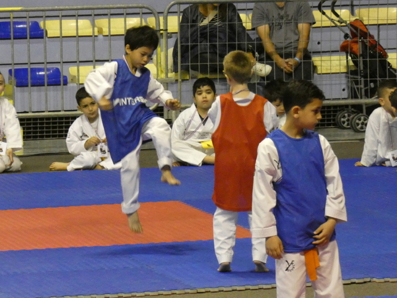 p1100984.jpg