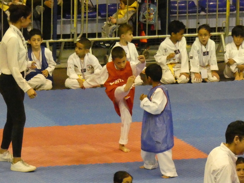 p1110379.jpg