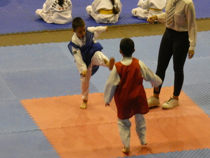 p1110631.jpg