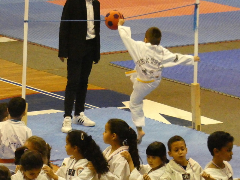 p1120168.jpg