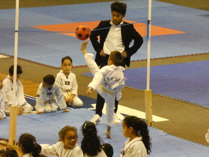 p1120203.jpg