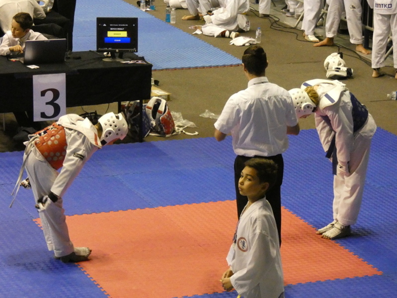 p1130887.jpg