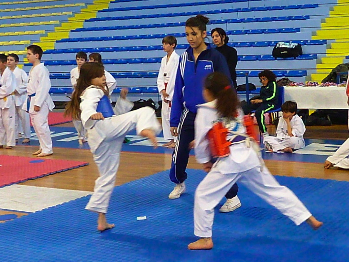 p2920188.jpg