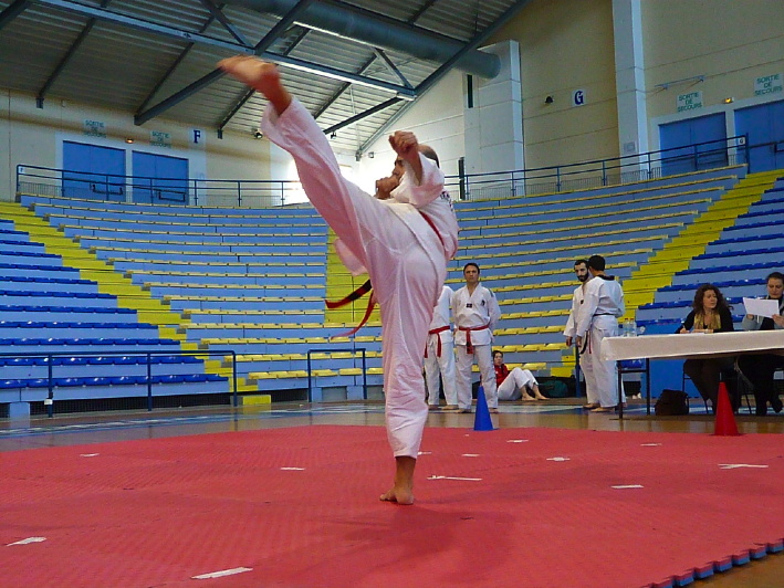 p2970176.jpg