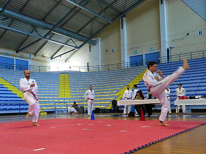 p2970560.jpg