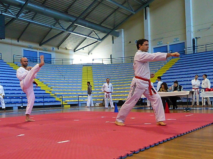 p2970582.jpg