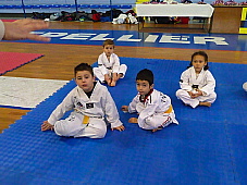 p2890157.jpg
