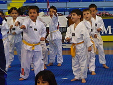 p2890445.jpg