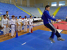 p2890737.jpg