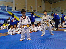 p2900350.jpg