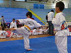 p2900763.jpg