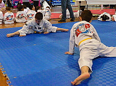 p2900837.jpg