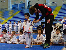 p2920073.jpg