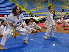 p2920245.jpg