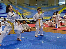 p2920259.jpg